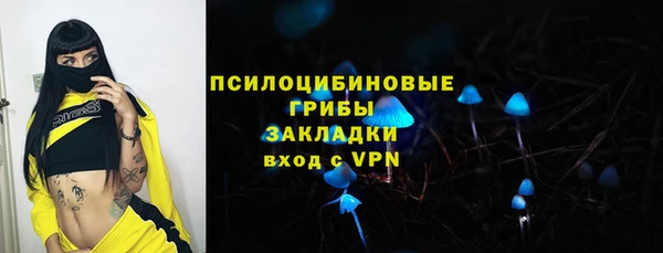 героин Алексин