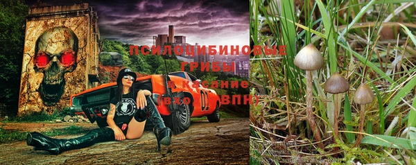 героин Алексин