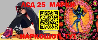 гашик Белореченск