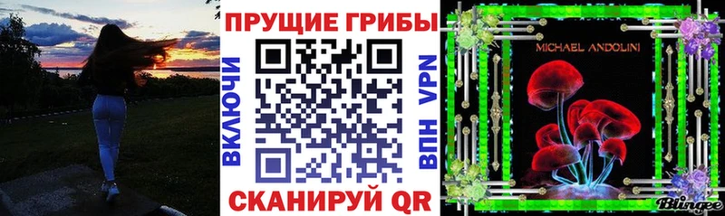 mega зеркало  Невинномысск  Псилоцибиновые грибы мицелий 