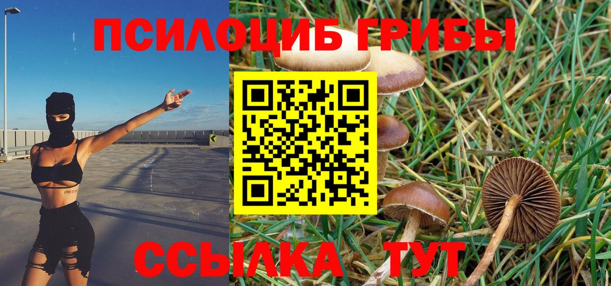Галлюциногенные грибы Cubensis Невинномысск