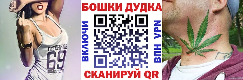 где купить   Невинномысск  Бошки Шишки сатива 