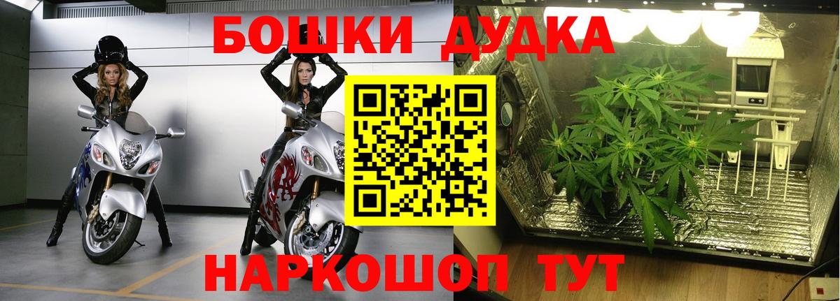 МАРИХУАНА ГИДРОПОН Невинномысск